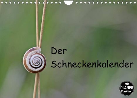 Christine Schmutzler-Schaub: Schmutzler-Schaub, C: Schneckenkalender (Wandkalender 2022 D, Kalender