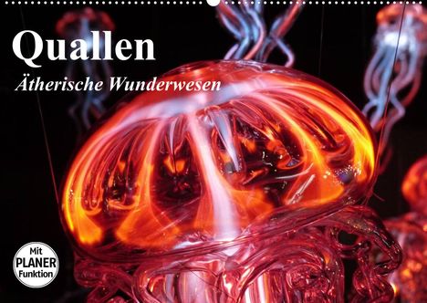 Elisabeth Stanzer: Stanzer, E: Quallen. Ätherische Wunderwesen (Wandkalender 20, Kalender