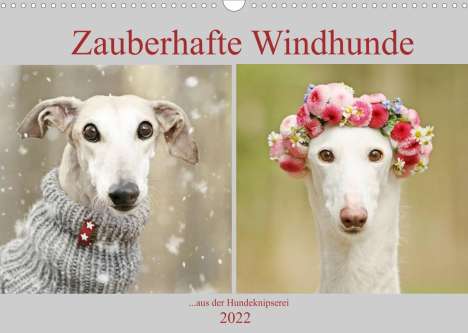 Kathrin Köntopp: Köntopp, K: Zauberhafte Windhunde (Wandkalender 2022 DIN A3, Kalender