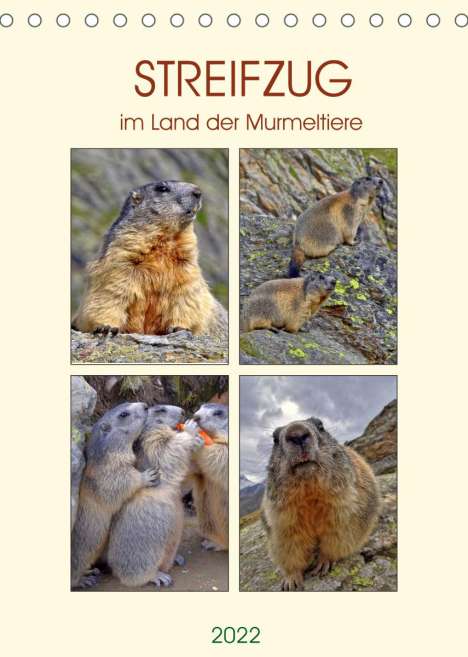 Susan Michel: Michel, S: STREIFZUG im Land der Murmeltiere (Tischkalender, Kalender