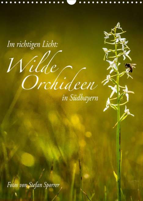 Stefan Sporrer: Sporrer, S: Im richtigen Licht: Wilde Orchideen in Südbayern, Kalender