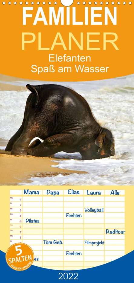 Elisabeth Stanzer: Stanzer, E: Elefanten. Spaß am Wasser - Familienplaner hoch, Kalender