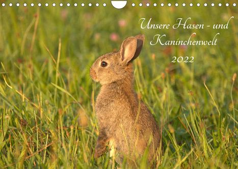Kevin Andreas Lederle: Andreas Lederle, K: Unsere Hasen - und Kaninchenwelt (Wandka, Kalender