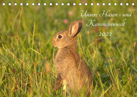 Kevin Andreas Lederle: Andreas Lederle, K: Unsere Hasen - und Kaninchenwelt (Tischk, Kalender