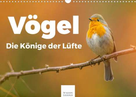 Benjamin Lederer: Lederer, B: Vögel - Die Könige der Lüfte (Wandkalender 2022, Kalender