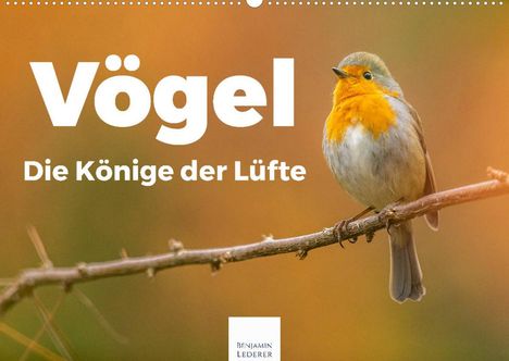 Benjamin Lederer: Lederer, B: Vögel - Die Könige der Lüfte (Wandkalender 2022, Kalender