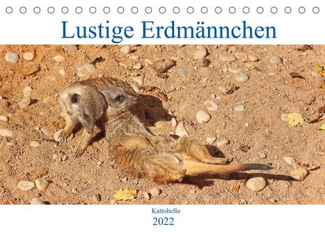 Kattobello: Kattobello: Lustige Erdmännchen (Tischkalender 2022 DIN A5 q, Kalender