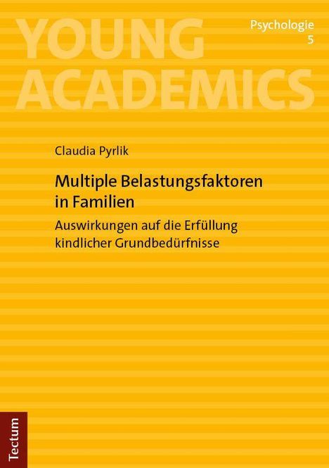 Claudia Pyrlik: Multiple Belastungsfaktoren in Familien, Buch