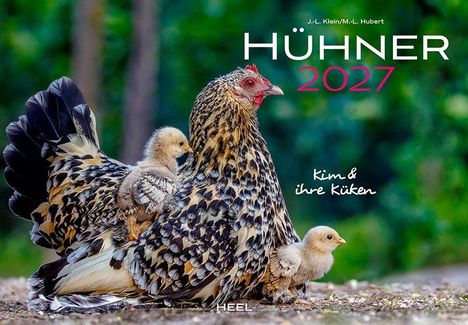 "Hühner 2027", "Kim & ihre Küken": Henne mit zwei Küken, eines auf ihrem Rücken, in natürlicher Umgebung.