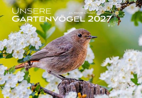 „UNSERE GARTENVÖGEL 2027“ in Weiß. Ein kleiner Vogel sitzt auf einem Ast, umgeben von weißen Blüten.