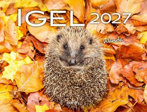 Text: "IGEL 2027", "Wanda". Ein zusammengekauertes Igelbaby sitzt auf bunten Herbstblättern.
