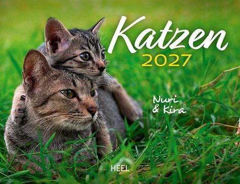 „Katzen 2027“, „Nuri & Kira“, „HEEL“. Zwei Katzen kuscheln auf grüner Wiese.