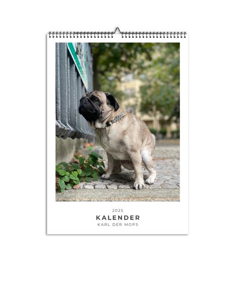 FelixCreative GmbH: Karl der Mops, Kalender