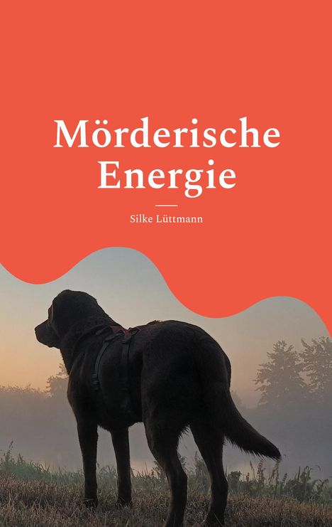 "Mörderische Energie" von Silke Lüttmann. Ein dunkler Hund steht in einer nebligen Landschaft, obere Hälfte orange.