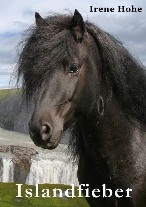 Irene Hohe: Islandfieber, Buch
