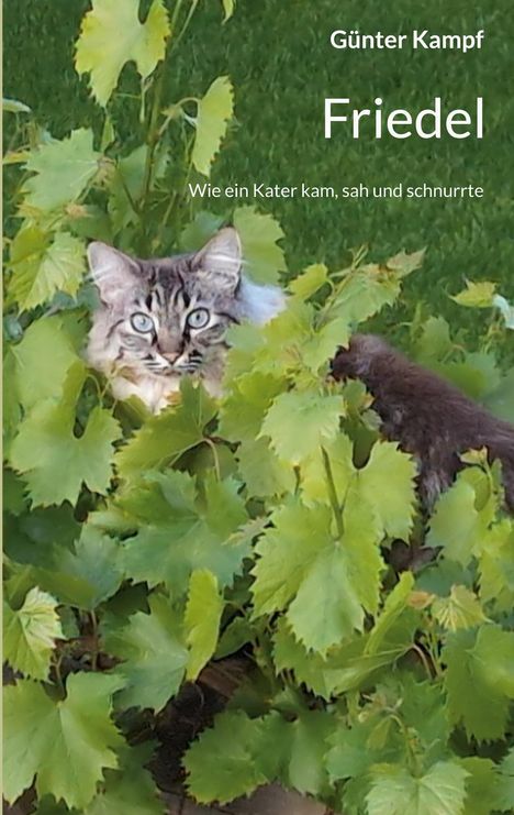 Text: "Günter Kampf Friedel Wie ein Kater kam, sah und schnurrte." Eine Katze lugt zwischen grünen Blättern hervor.