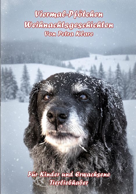 Petra Klare: Viermal-Pfötchen, Buch