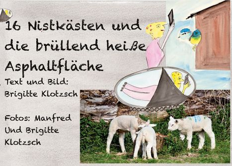 Brigitte Klotzsch: Sechszehn Nistkästen und die brüllend heiße Asphaltfläche, Buch