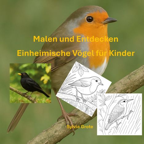 Sylvia Grote: Malen und Entdecken, Buch