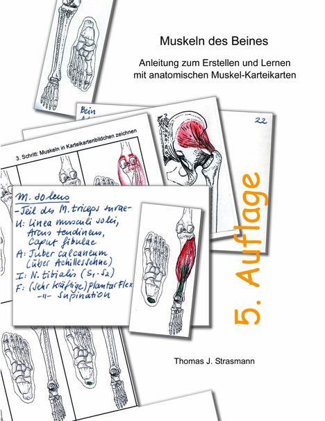 „Muskeln des Beines“, Anleitung mit Muskel-Karteikarten, 5. Auflage. Illustrationen mit handschriftlichen Notizen.