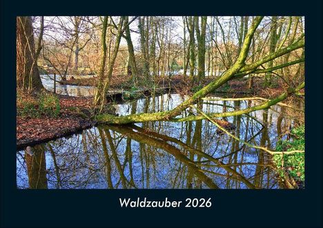 Tobias Becker: Waldzauber 2026 Fotokalender DIN A4, Kalender