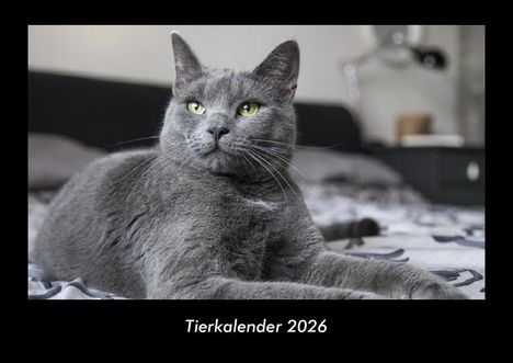 Tobias Becker: Tierkalender 2026 Fotokalender DIN A3, Kalender