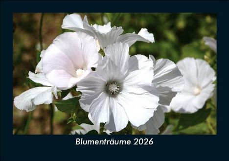 Tobias Becker: Blumenträume 2026 Fotokalender DIN A5, Kalender