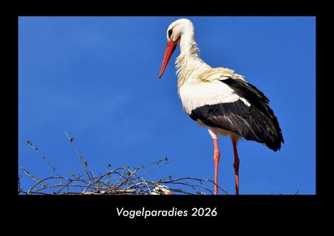 Tobias Becker: Vogelparadies 2026 Fotokalender DIN A3, Kalender