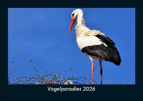 Tobias Becker: Vogelparadies 2026 Fotokalender DIN A5, Kalender