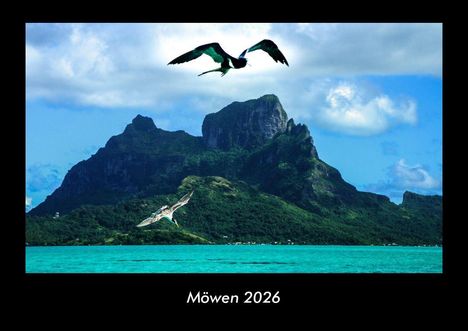 Tobias Becker: Möwen 2026 Fotokalender DIN A3, Kalender