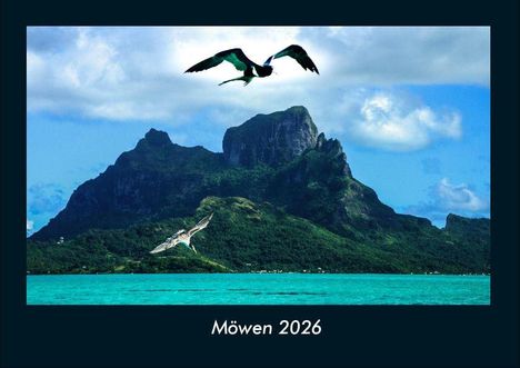 Tobias Becker: Möwen 2026 Fotokalender DIN A4, Kalender