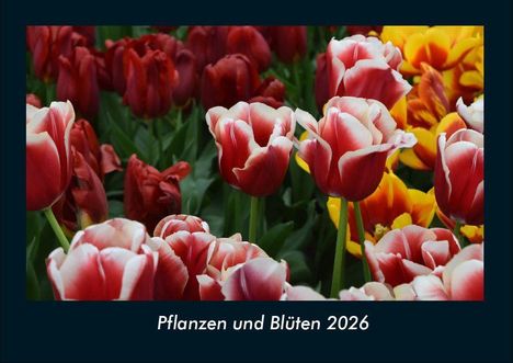 Tobias Becker: Pflanzen und Blüten 2026 Fotokalender DIN A4, Kalender