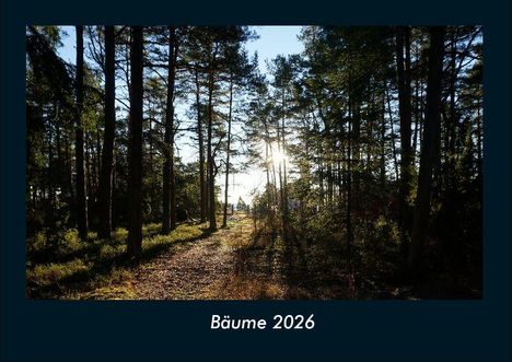Tobias Becker: Bäume 2026 Fotokalender DIN A4, Kalender