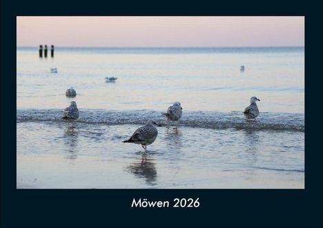 Tobias Becker: Möwen 2026 Fotokalender DIN A4, Kalender