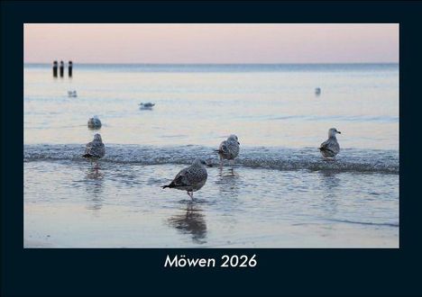 Tobias Becker: Möwen 2026 Fotokalender DIN A5, Kalender