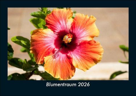 Tobias Becker: Blumentraum 2026 Fotokalender DIN A5, Kalender