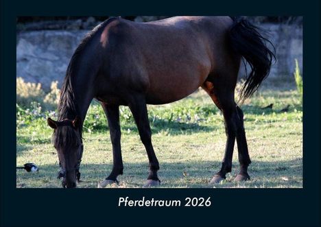Tobias Becker: Pferdetraum 2026 Fotokalender DIN A4, Kalender