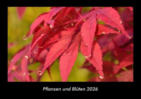 Tobias Becker: Pflanzen und Blüten 2026 Fotokalender DIN A3, Kalender