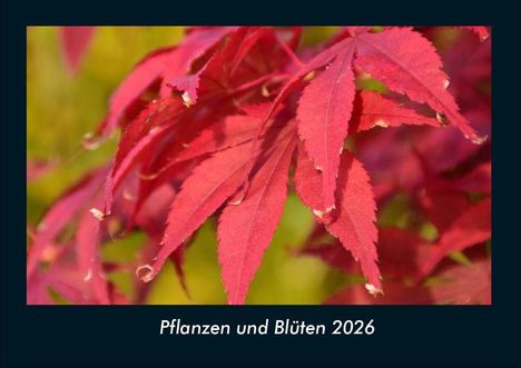 Tobias Becker: Pflanzen und Blüten 2026 Fotokalender DIN A4, Kalender
