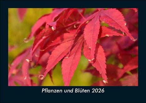 Tobias Becker: Pflanzen und Blüten 2026 Fotokalender DIN A5, Kalender