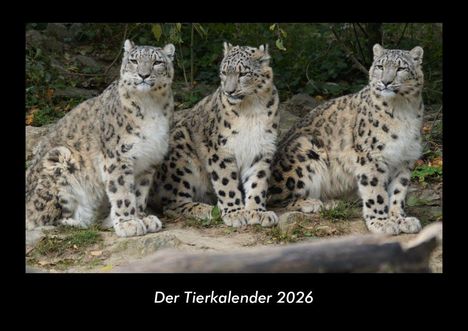 Tobias Becker: Der Tierkalender 2026 Fotokalender DIN A3, Kalender