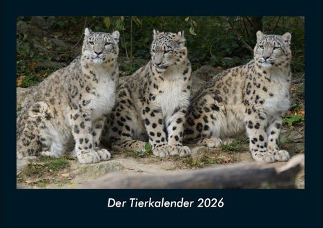 Tobias Becker: Der Tierkalender 2026 Fotokalender DIN A4, Kalender
