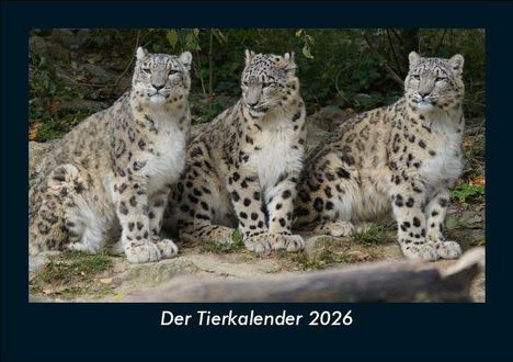 Tobias Becker: Der Tierkalender 2026 Fotokalender DIN A5, Kalender