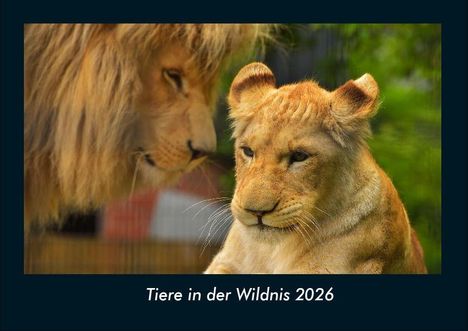 Tobias Becker: Tiere in der Wildnis 2026 Fotokalender DIN A4, Kalender