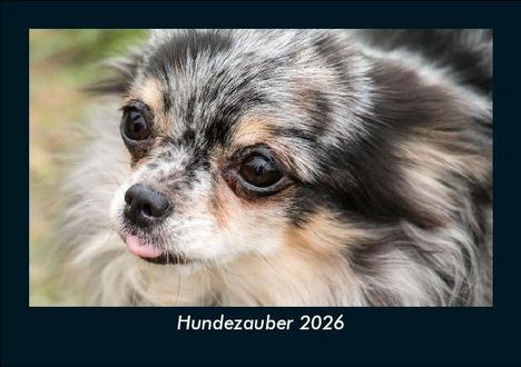 Tobias Becker: Hundezauber 2026 Fotokalender DIN A5, Kalender