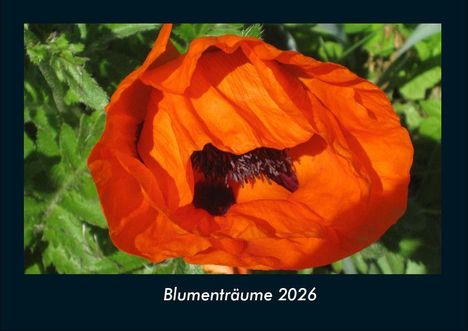 Tobias Becker: Blumenträume 2026 Fotokalender DIN A4, Kalender
