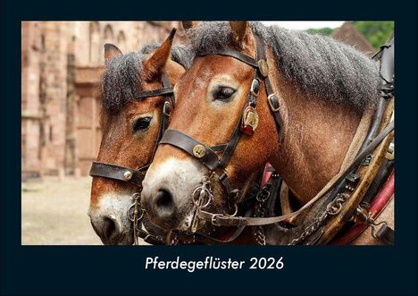 Tobias Becker: Pferdegeflüster 2026 Fotokalender DIN A4, Kalender
