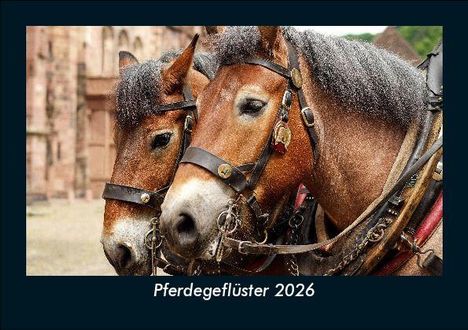 Tobias Becker: Pferdegeflüster 2026 Fotokalender DIN A5, Kalender