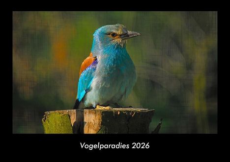 Tobias Becker: Vogelparadies 2026 Fotokalender DIN A3, Kalender