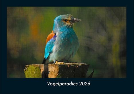 Tobias Becker: Vogelparadies 2026 Fotokalender DIN A4, Kalender